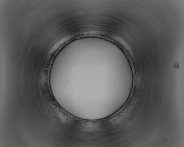 X0000092260874200710051317