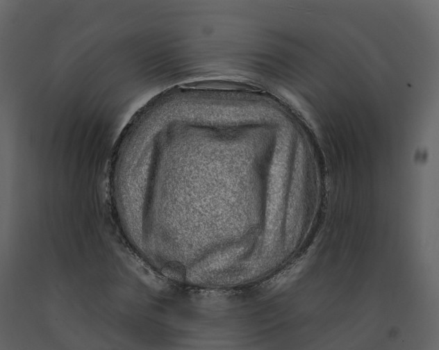 X0000092260875200710051317