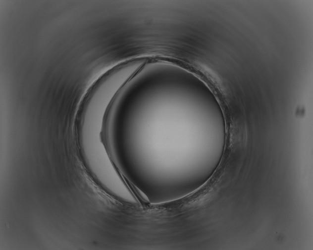 X0000092260876200710051317