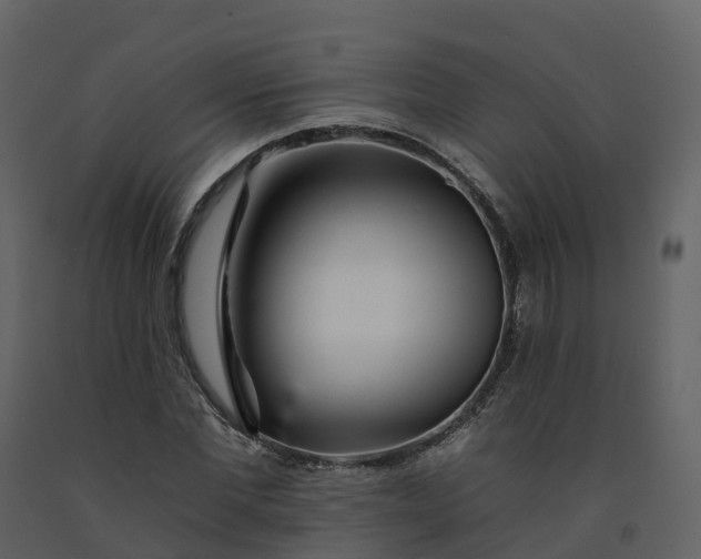 X0000092260877200710051317