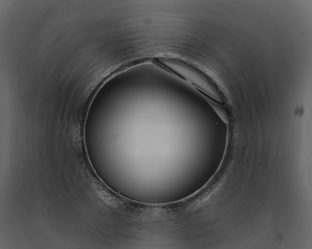 X0000092260881200710051317