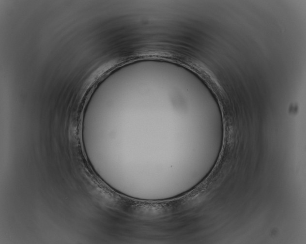 X0000092260882200710051317