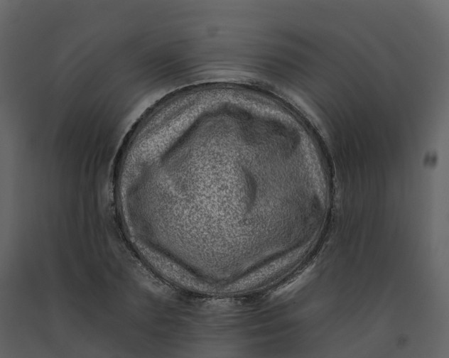 X0000092260883200710051317