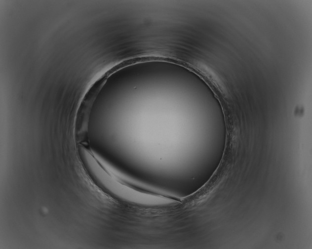 X0000092260884200710051317