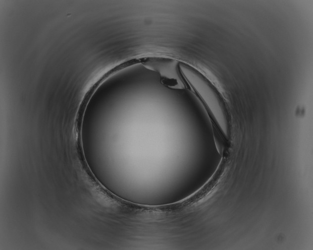 X0000092260885200710051317