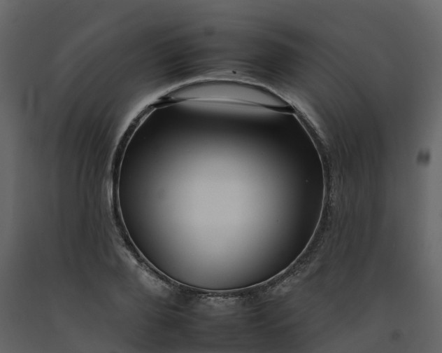 X0000092260888200710051317