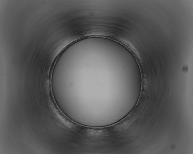 X0000092260890200710051317