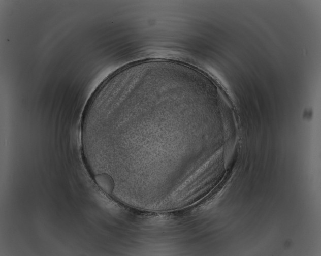 X0000092260891200710051317