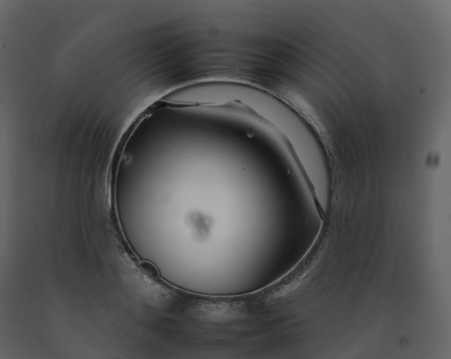 X0000092260892200710051317