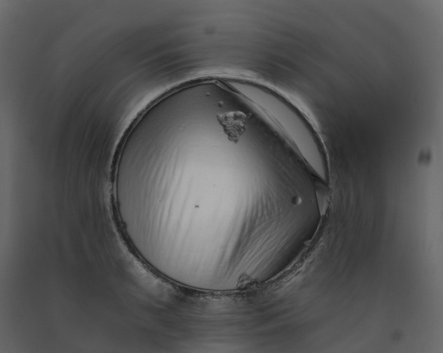 X0000092260895200710051317