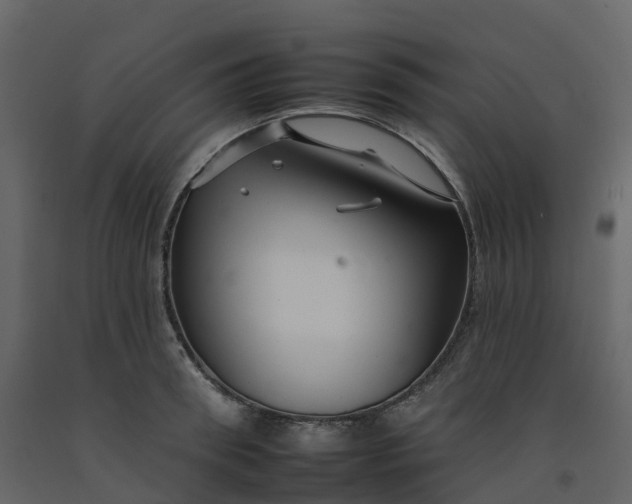 X0000092260898200710051317