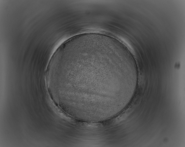 X0000092260899200710051317