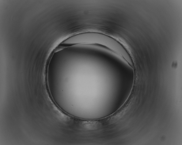 X0000092260902200710051317