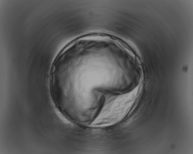 X0000092260903200710051317