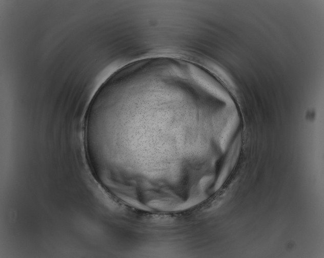 X0000092260907200710051317