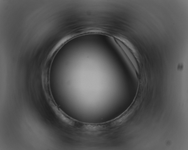 X0000092260910200710051317