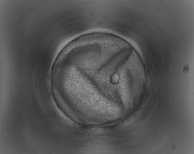 X0000092260911200710051317