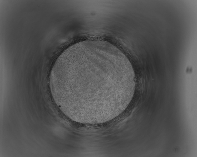 X0000092260913200710051316