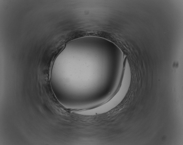 X0000092260916200710051316