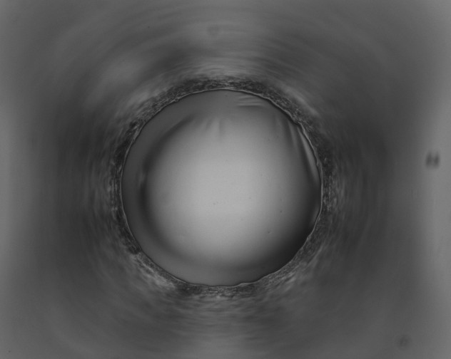 X0000092260917200710051316