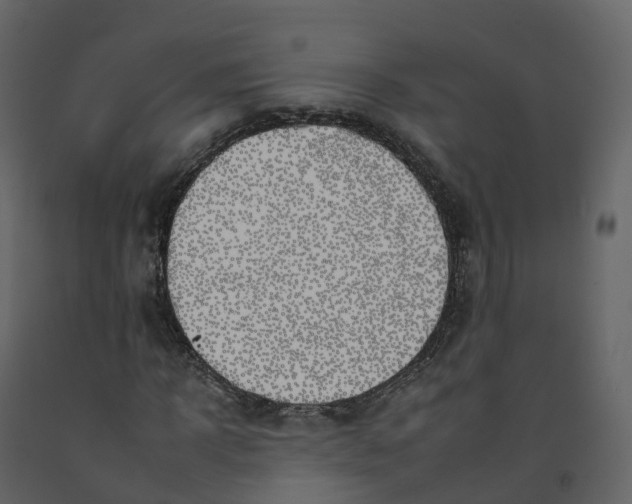 X0000092260918200710051316