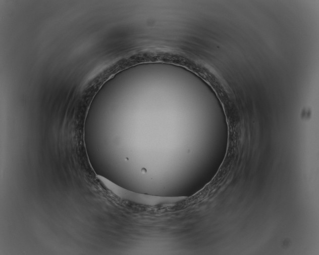 X0000092260919200710051316