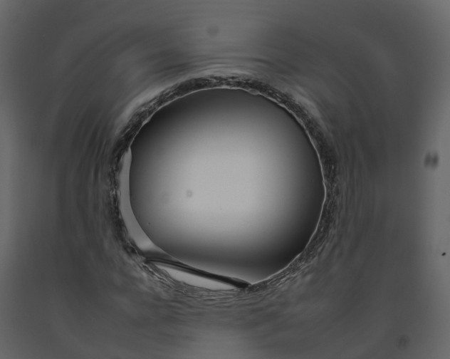 X0000092260920200710051316