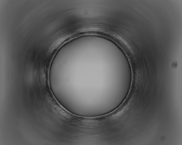 X0000092260921200710051316