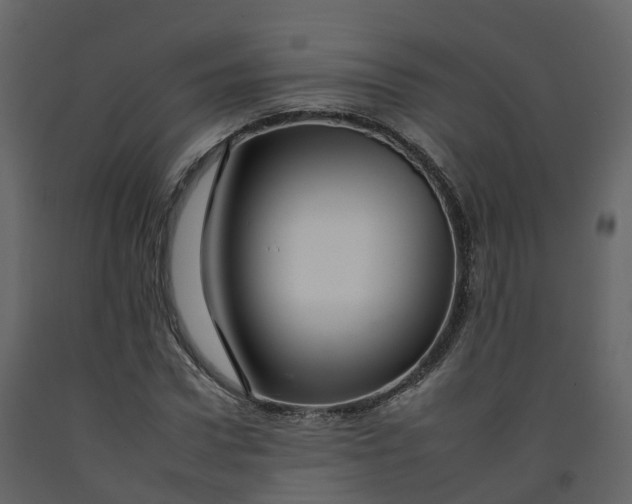 X0000092260922200710051316