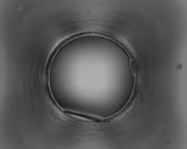 X0000092260924200710051316