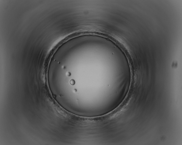 X0000092260925200710051316