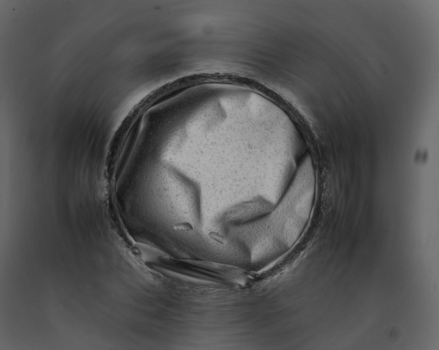 X0000092260927200710051316