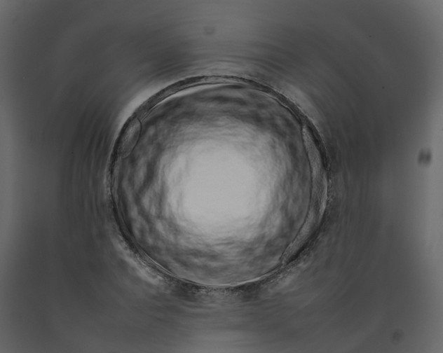 X0000092260928200710051316