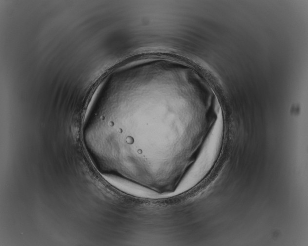 X0000092260929200710051316