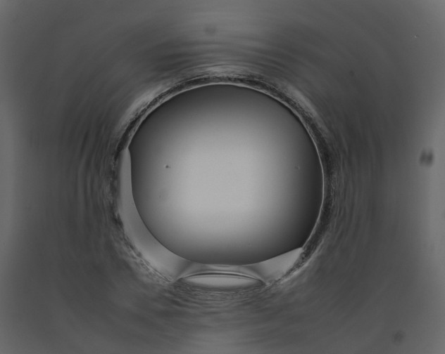 X0000092260930200710051316