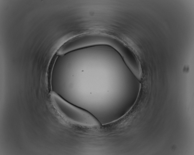 X0000092260932200710051316