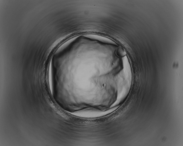 X0000092260933200710051316