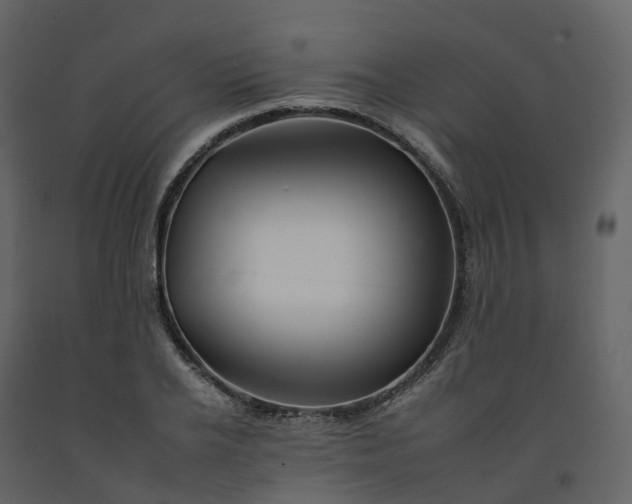 X0000092260934200710051316