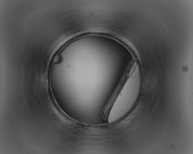 X0000092260935200710051316