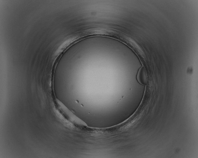 X0000092260938200710051316