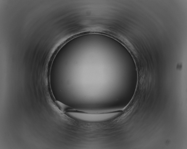 X0000092260939200710051316