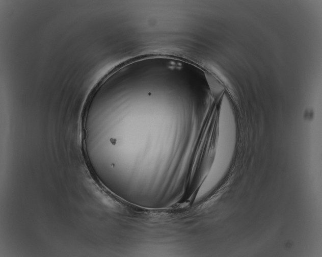 X0000092260940200710051316