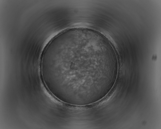 X0000092260941200710051316