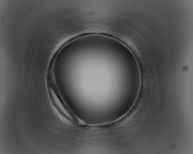 X0000092260942200710051316