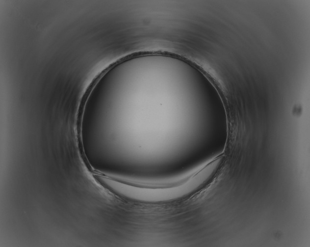 X0000092260943200710051316