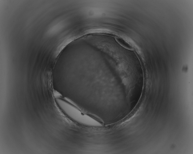 X0000092260945200710051316