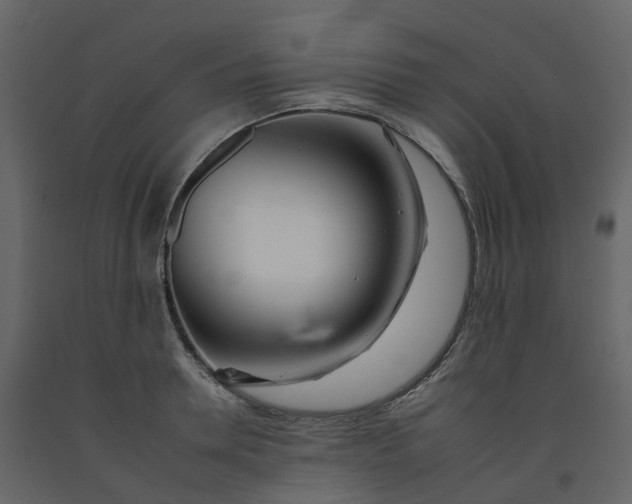 X0000092260946200710051316