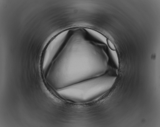 X0000092260947200710051316