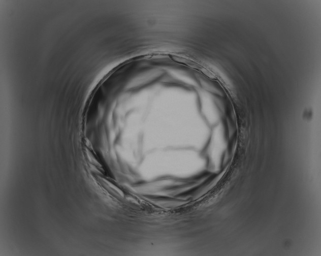 X0000092260948200710051316