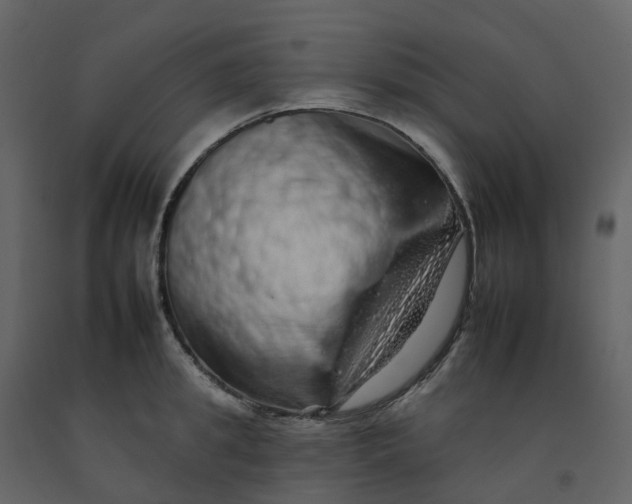 X0000092260949200710051316